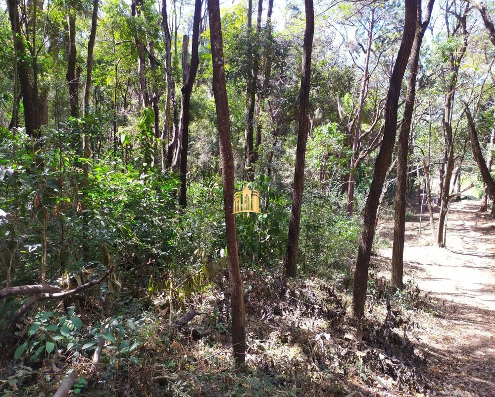 Terreno, 5000 m² - Foto 4