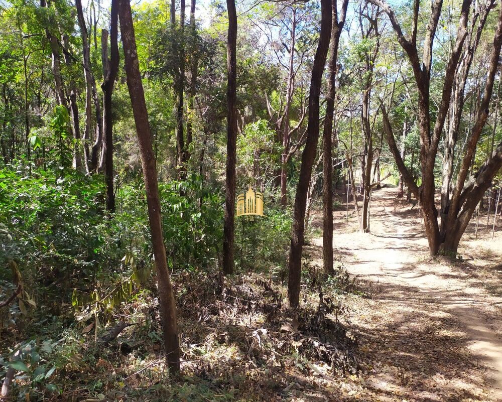 Terreno, 5000 m² - Foto 5