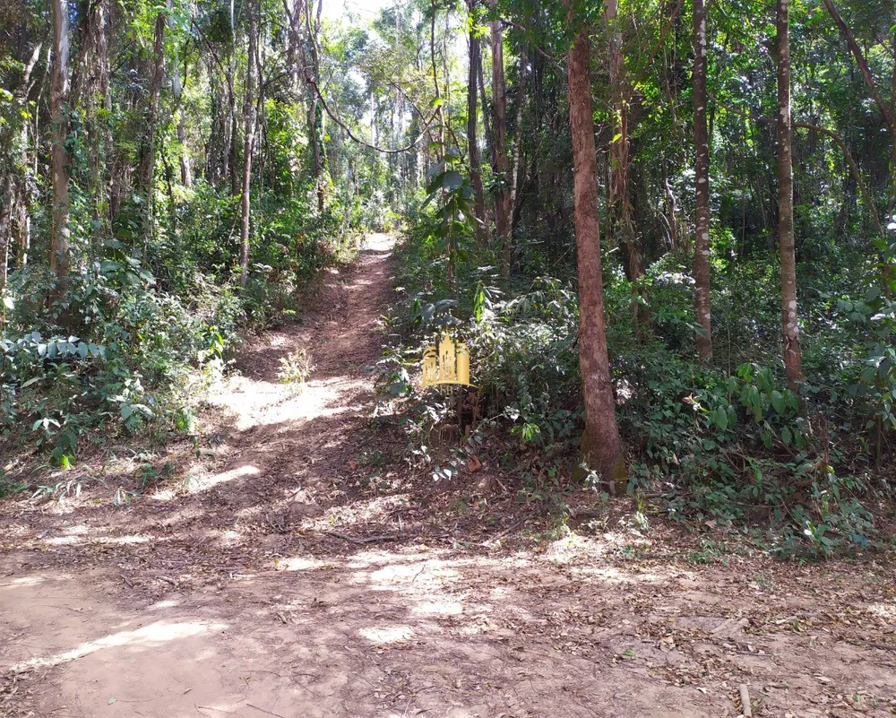 Terreno, 5000 m² - Foto 6