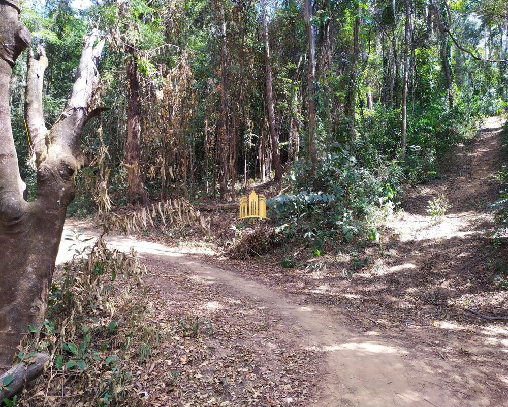 Terreno, 5000 m² - Foto 1