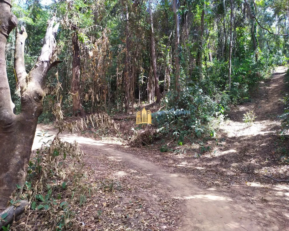 Terreno, 5000 m² - Foto 8