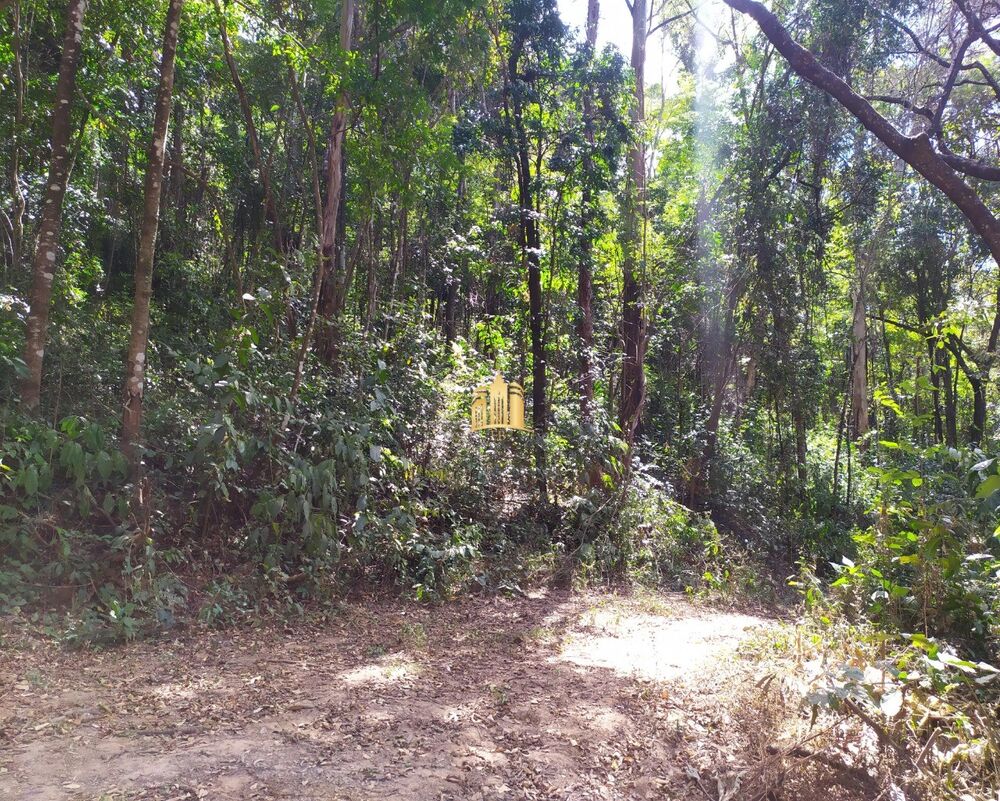 Terreno, 5000 m² - Foto 3