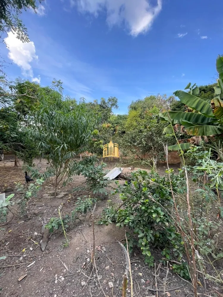 Chácara, 4 quartos, 2500 m² - Foto 1