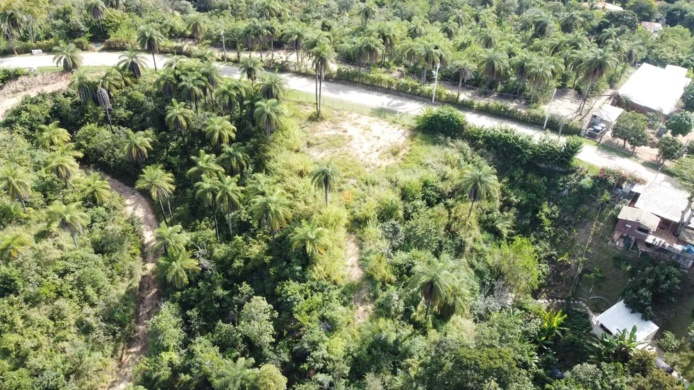 Terreno, 1000 m² - Foto 6