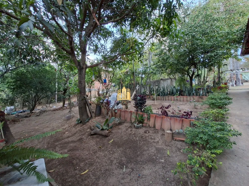 Sítio, 3 quartos, 6000 m² - Foto 9