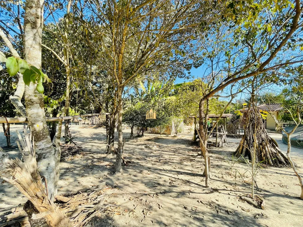 Sítio, 2 quartos, 2700 m² - Foto 2