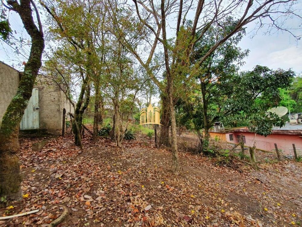 Sítio à venda com 3 quartos, 1800m² - Foto 6