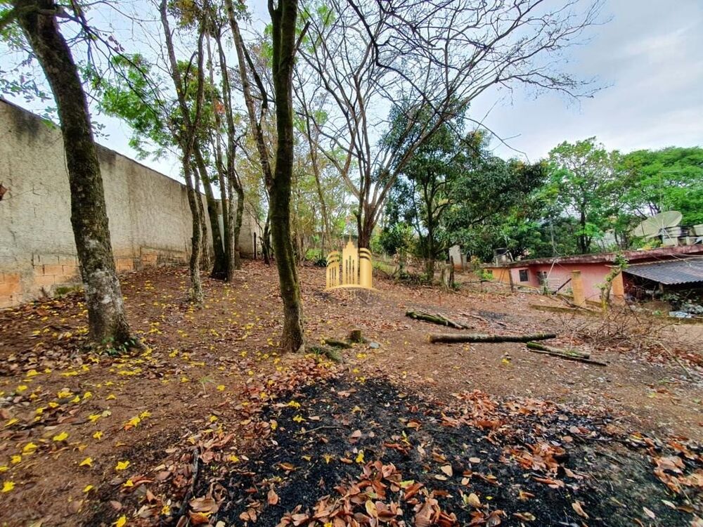 Sítio à venda com 3 quartos, 1800m² - Foto 5
