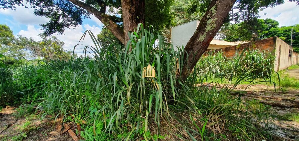 Terreno, 450 m² - Foto 5