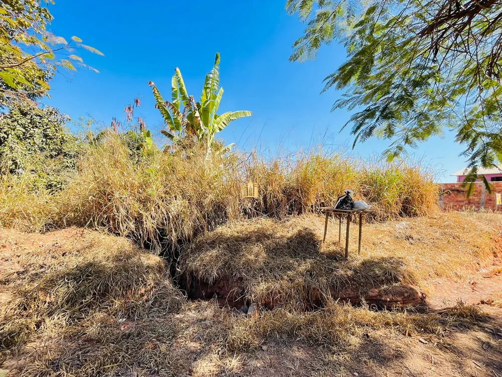 Terreno, 450 m² - Foto 4