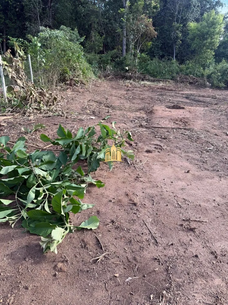 Terreno, 1000 m² - Foto 4