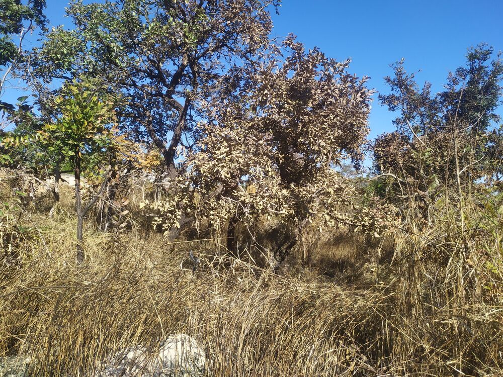 Terreno, 360 m² - Foto 6