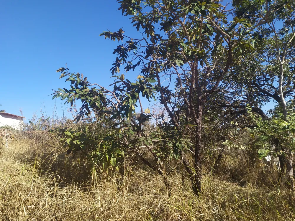 Terreno, 360 m² - Foto 11