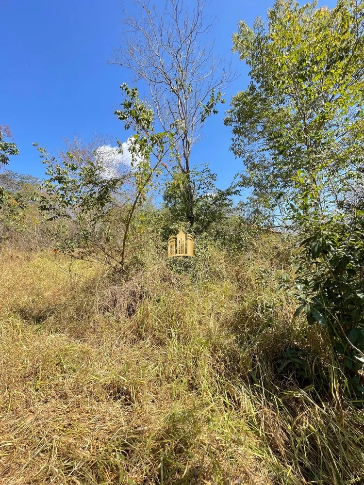 Terreno, 3080 m² - Foto 4