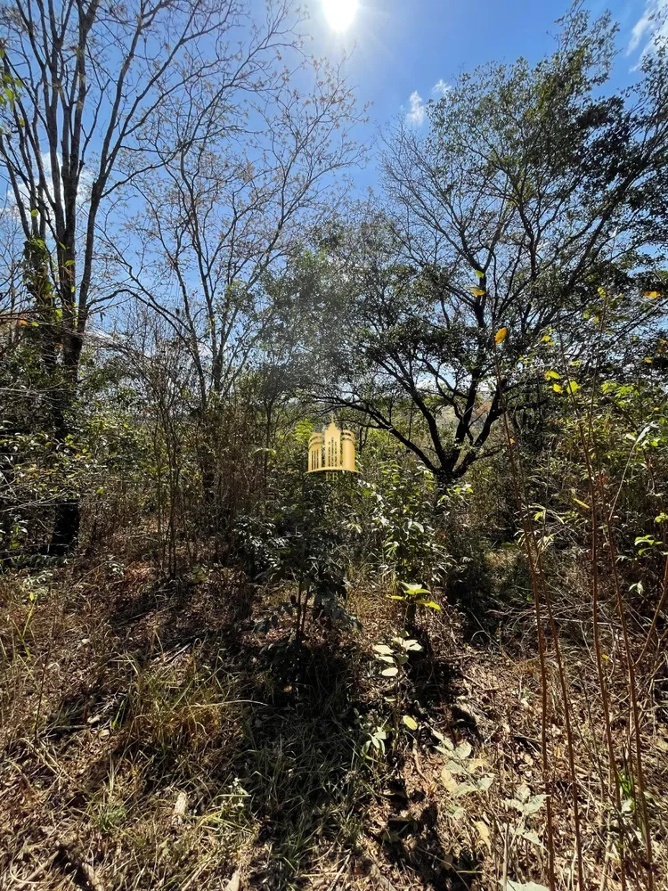 Terreno, 3080 m² - Foto 6