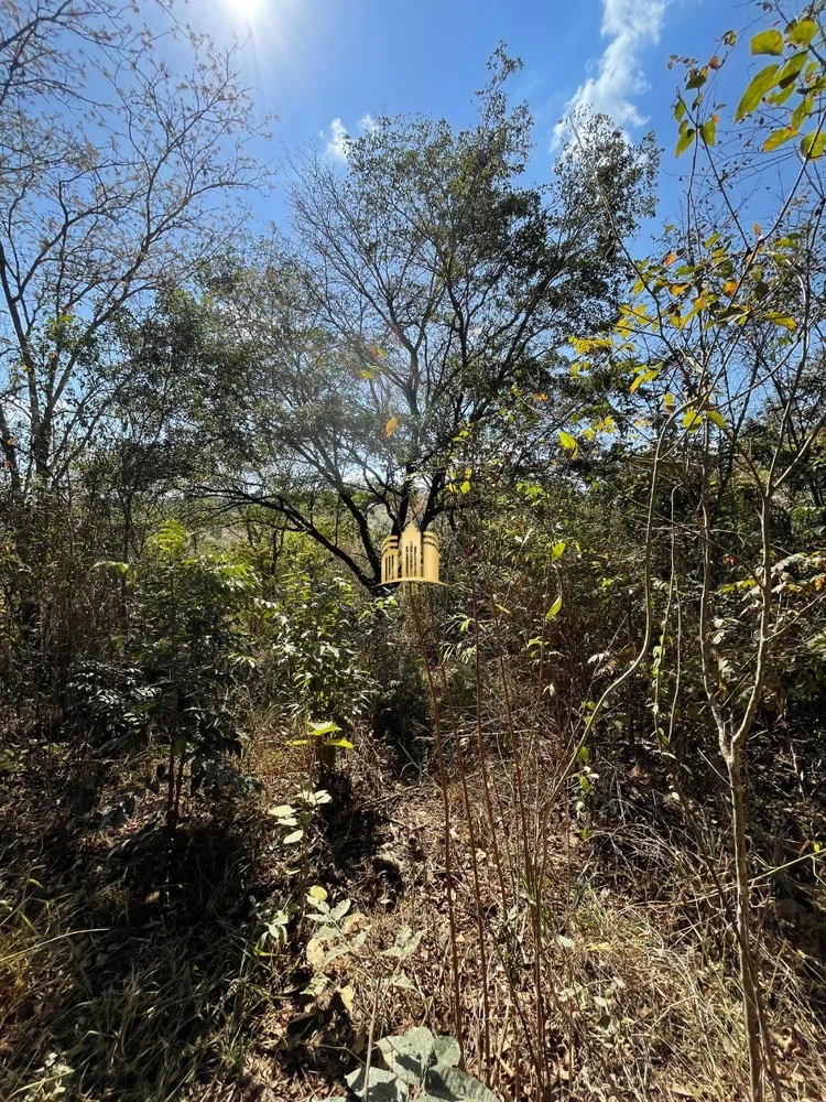 Terreno, 3080 m² - Foto 8