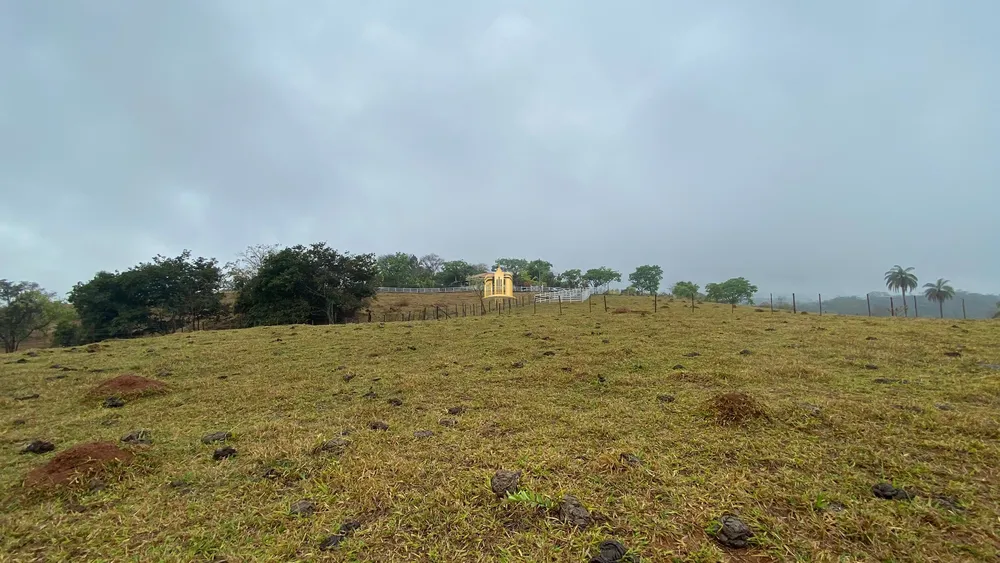 Fazenda, 80 hectares - Foto 14
