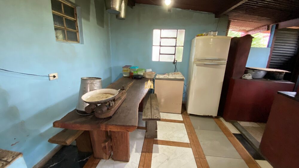 Fazenda, 80 hectares - Foto 6