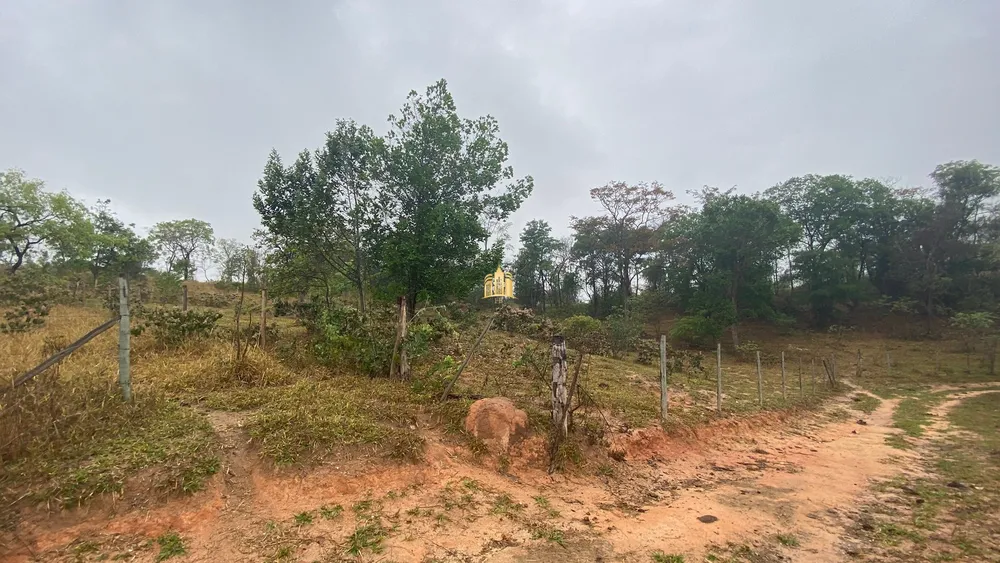 Fazenda, 80 hectares - Foto 15