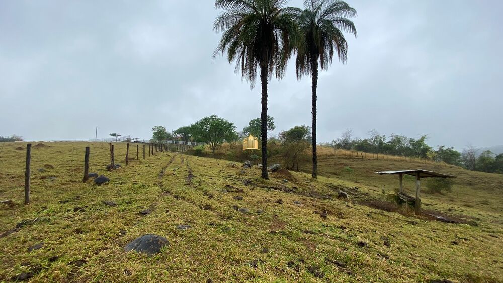 Fazenda, 80 hectares - Foto 7