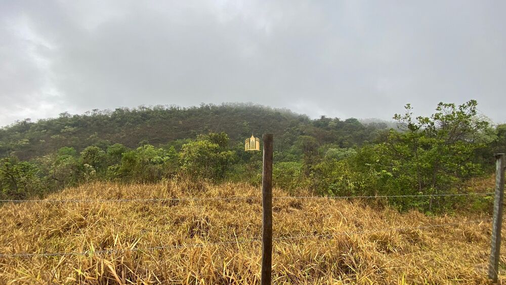 Fazenda, 80 hectares - Foto 5