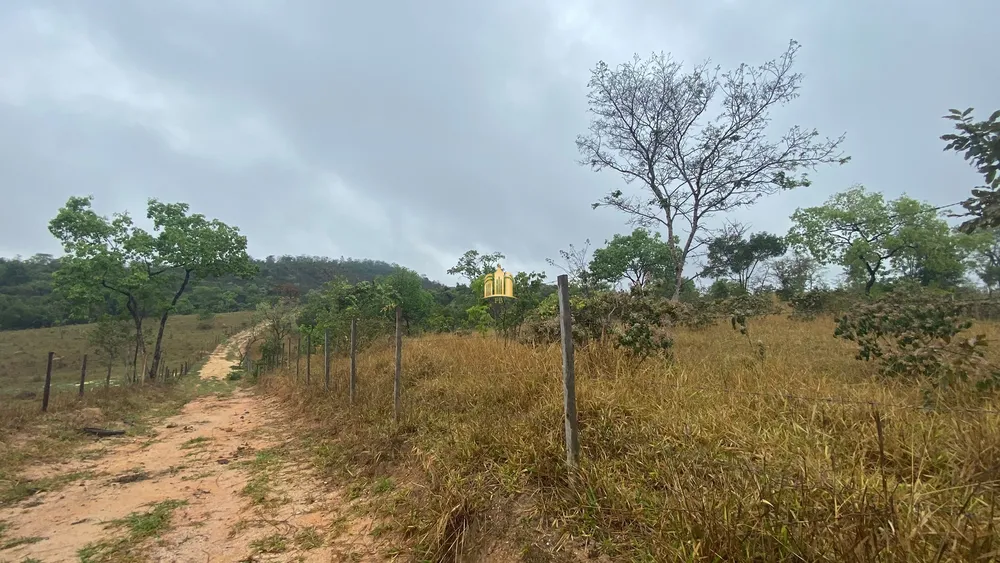 Fazenda, 80 hectares - Foto 9