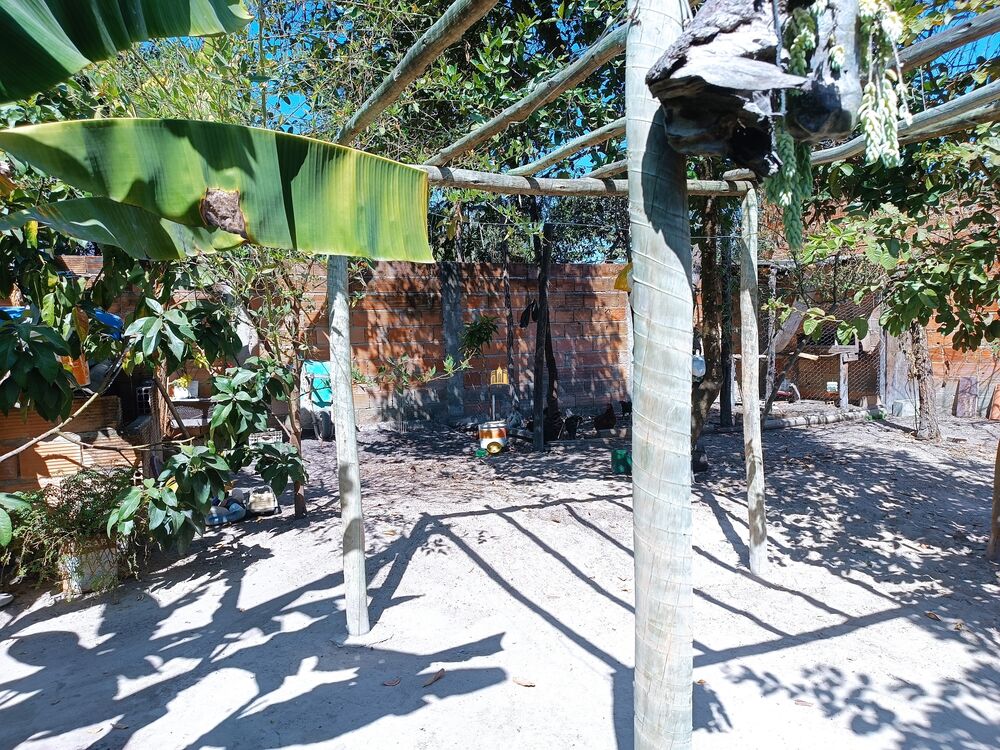 Casa, 2 quartos, 360 m² - Foto 8