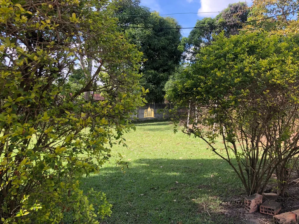 Sítio, 5 quartos, 2000 m² - Foto 12