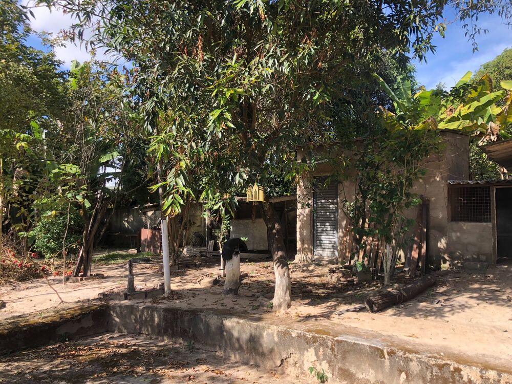 Sítio, 5 quartos, 2000 m² - Foto 2