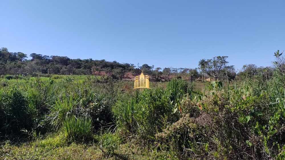 Terreno, 2 hectares - Foto 2