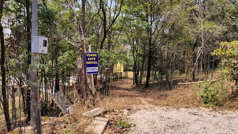 Sítio, 4 quartos, 10000 m² - Foto 1