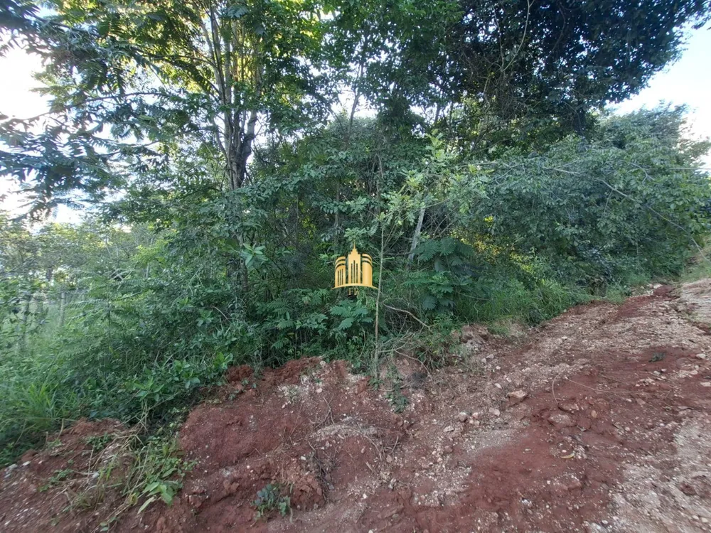 Terreno, 1000 m² - Foto 4
