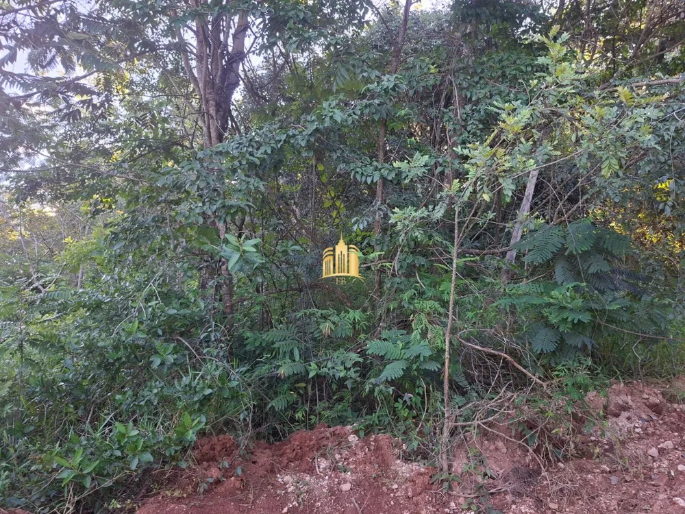 Terreno, 1000 m² - Foto 4