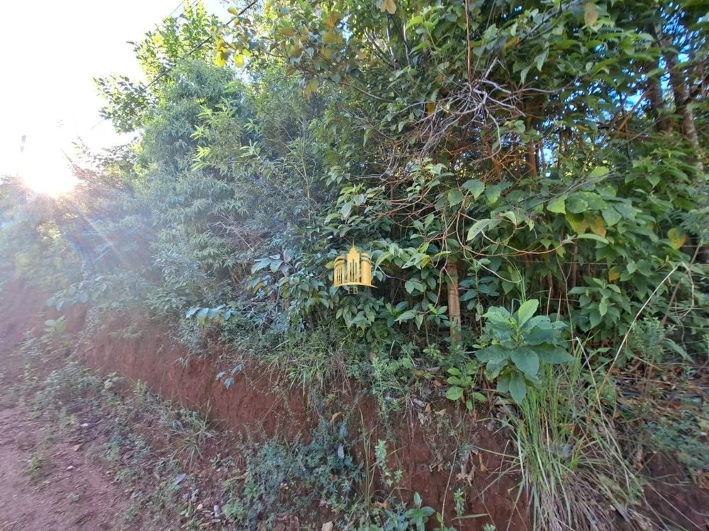 Terreno, 1000 m² - Foto 3
