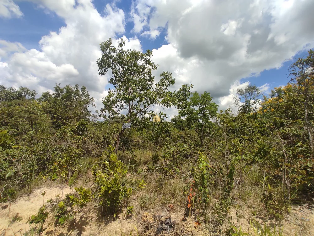 Terreno à venda, 3500m² - Foto 5