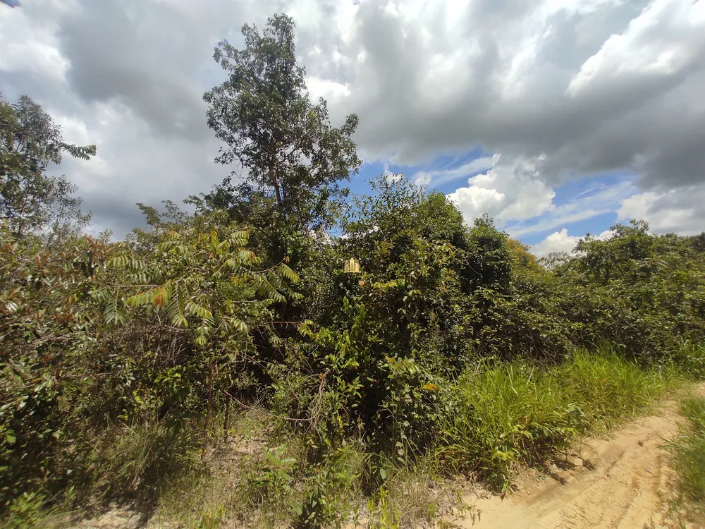 Terreno, 3500 m² - Foto 4