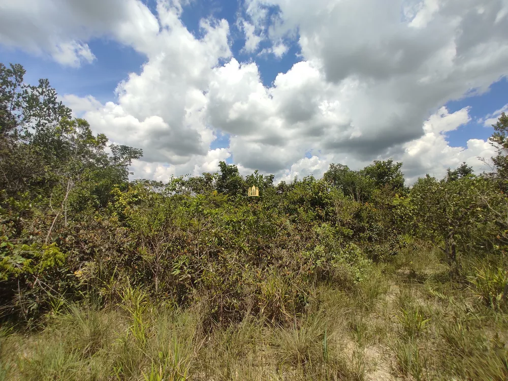 Terreno à venda, 3500m² - Foto 6