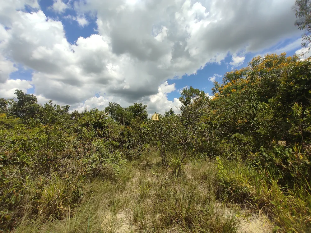 Terreno, 3500 m² - Foto 14