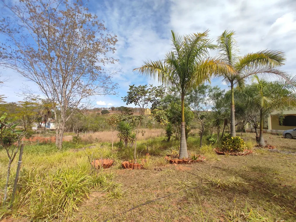 Sítio, 4 quartos, 3843 m² - Foto 10