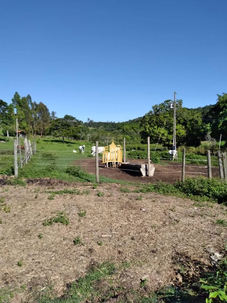 Fazenda, 300 m² - Foto 14
