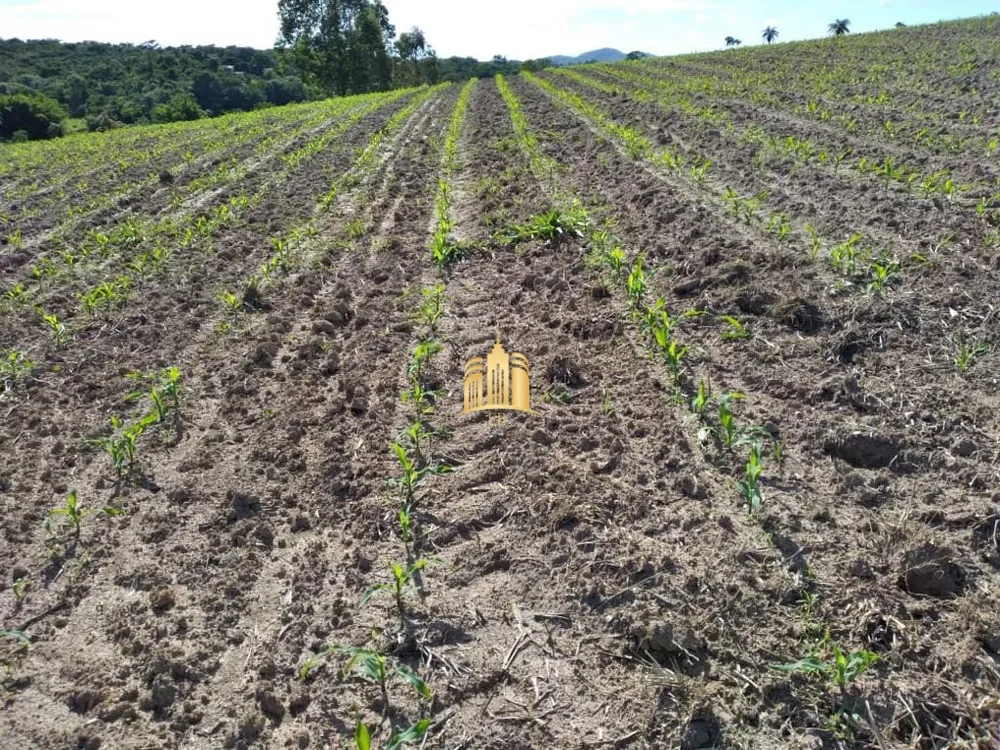 Fazenda, 300 m² - Foto 12