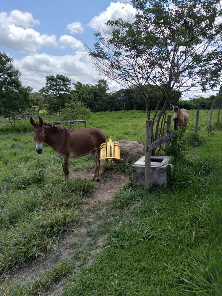 Fazenda, 300 m² - Foto 11