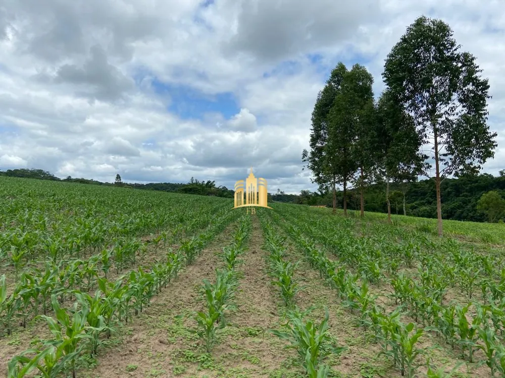 Fazenda, 300 m² - Foto 9