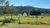Fazenda-Sítio-Chácara, 300 m² - Foto 2