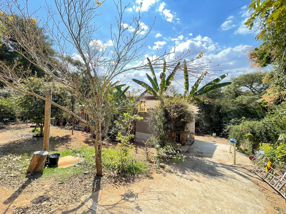 Sítio, 3 quartos, 5500 m² - Foto 2