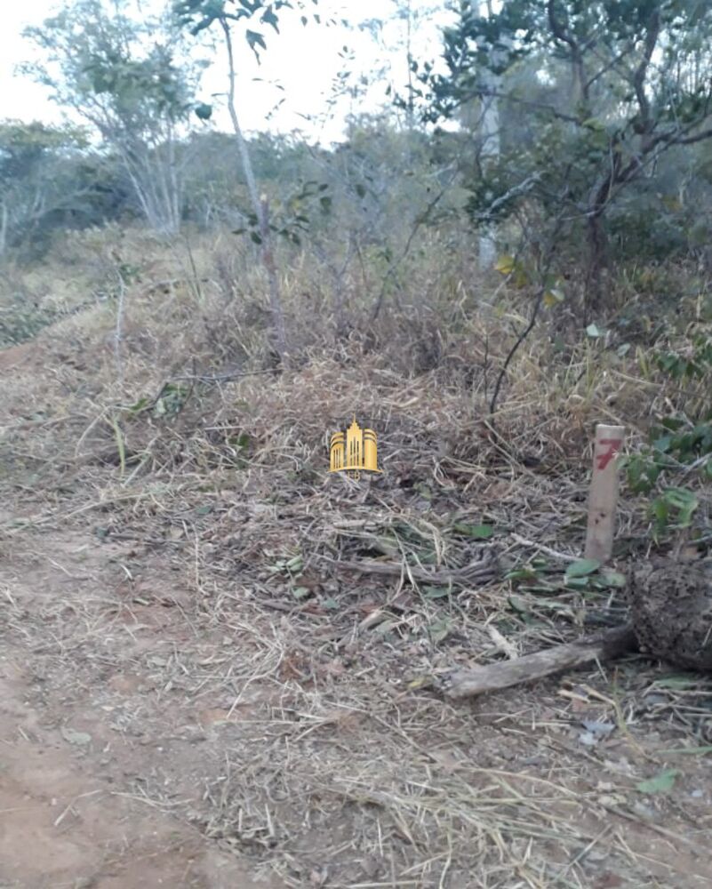 Terreno, 2 hectares - Foto 5