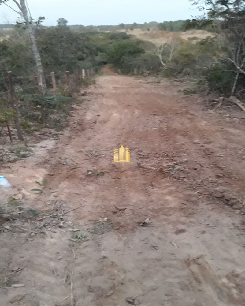 Terreno, 2 hectares - Foto 6