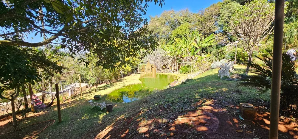 Sítio, 7 quartos, 5070 m² - Foto 3