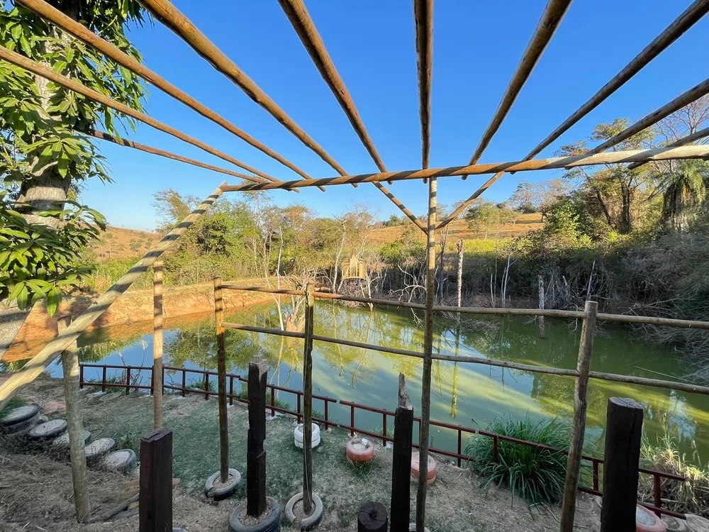 Sítio, 8 quartos, 3000 m² - Foto 4
