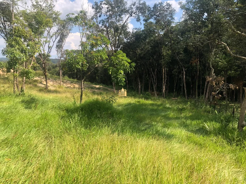 Terreno, 3486 m² - Foto 3